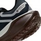 Nike Pegasus 41 Gore-Tex Dark Obsidian Pure Plati - Scarpe Running Donna